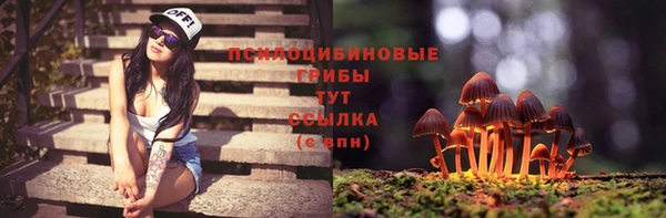 спиды Алексеевка
