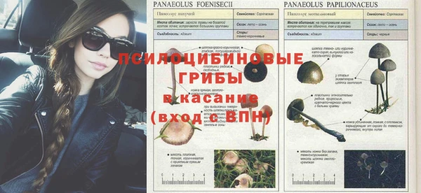 спиды Алексеевка