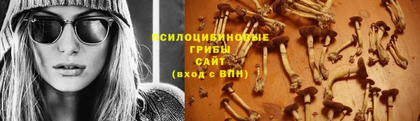 ешки Алзамай